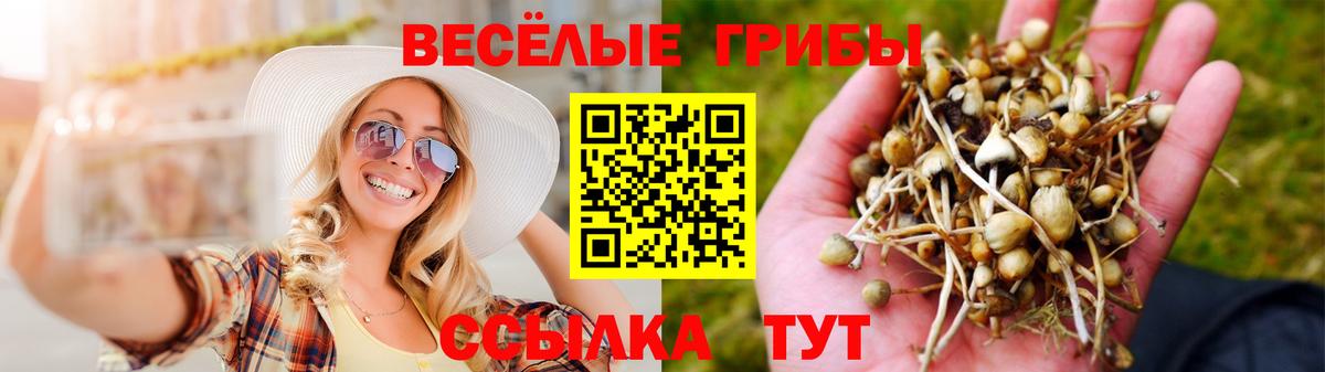 Псилоцибиновые грибы Magic Shrooms Усинск